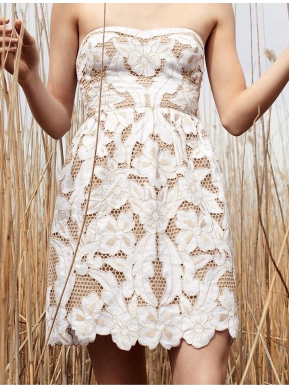 Club Monaco lace dress size 0 | Marigold strapless dress in natural